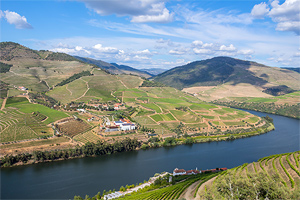 Wijnkelderj Douro