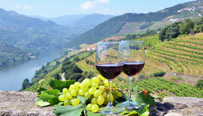 Douro vallei, wijngebied in Portugal