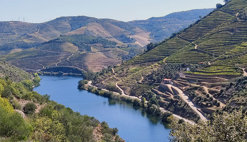 Wijngaarden in de Douro vallei