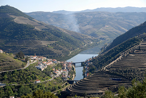 Wijngaarden Noord-Portugal, Pinhão