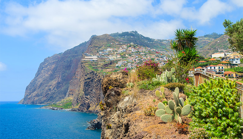 Rondreis Madeira, kleurrijk stadje Caniçal