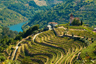 Wijngaarden in Noord-Portugal