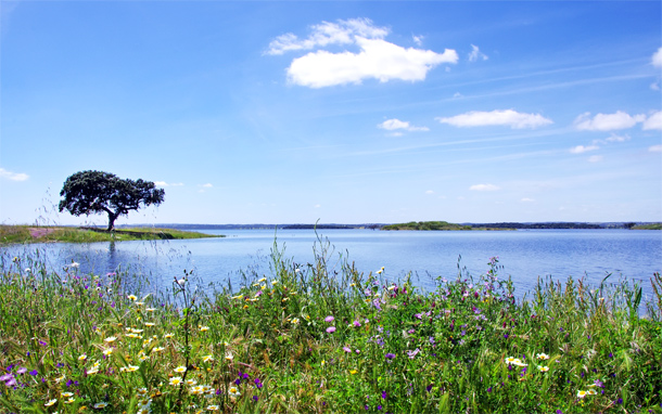 Het stuwmeer van Alqueva