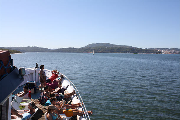 Dolfijnen spotten in de baai van Setúbal