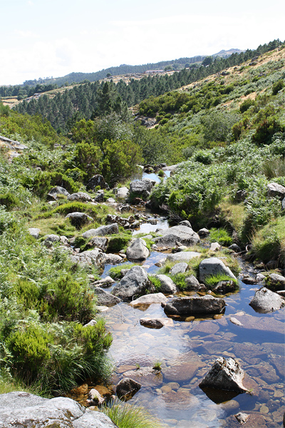 Riviertje in de Serra da Cabreira