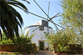 Molen in de heuvels van Setúbal