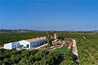 Adults Only: Rufina Quinta, Silves, Algarve