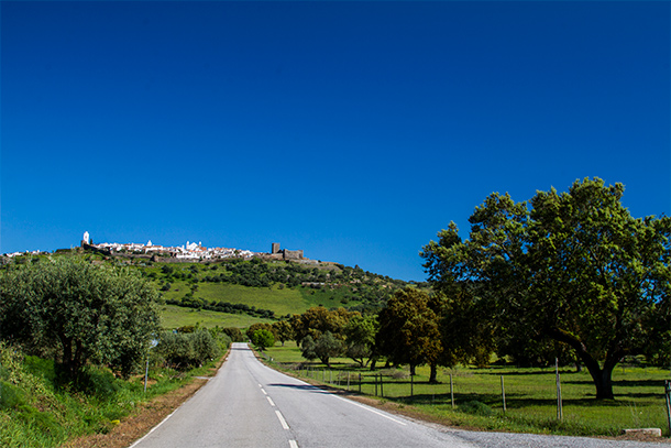 Rustige weg in de Alentejo