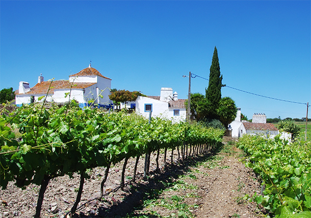 Uniek logeeradres in de Alentejo