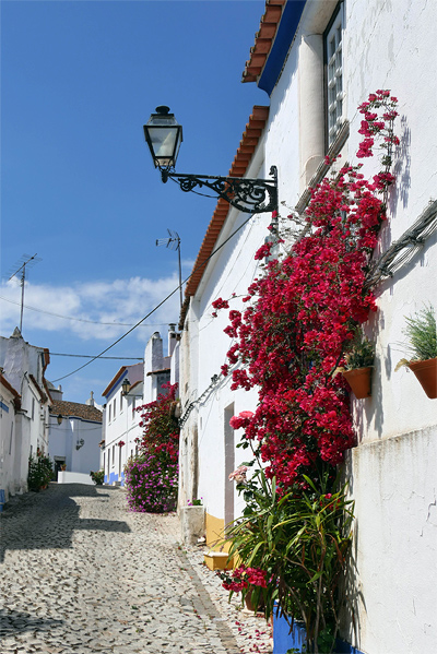 Fleurig bloemenstraatje in Terena, Alentejo