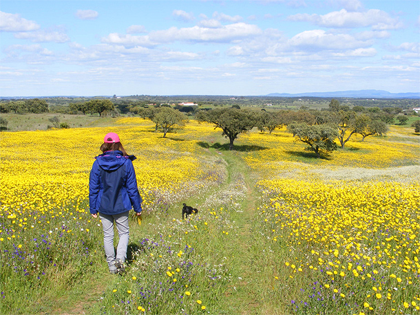 Lente in de Alentejo