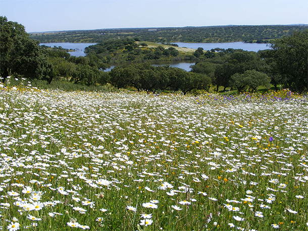 Lente in de Alentejo