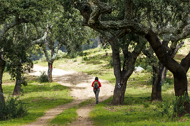 Wandelen in de Alentejo tussen de kurkeiken