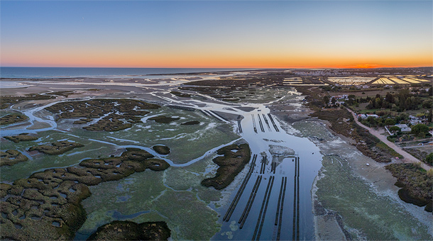 Parque Natural da Ria Formosa