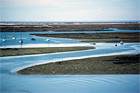 Ria Formosa boottocht