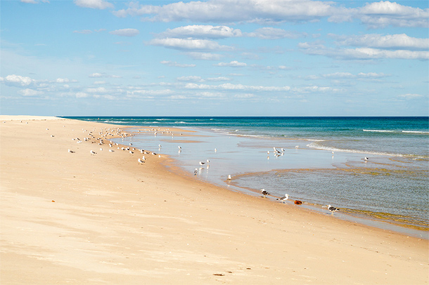 Ilha da Fuseta