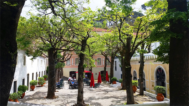 Terras in Caldas de Monchique