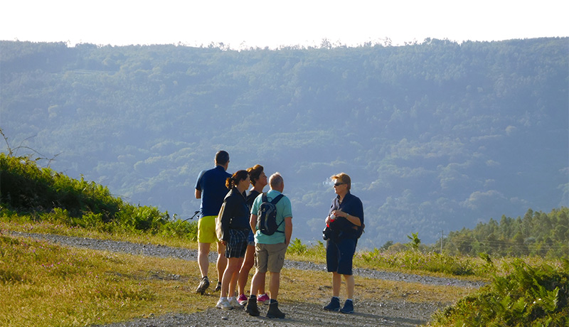 Wandelen op bergrug Foia in Serra de Monchique