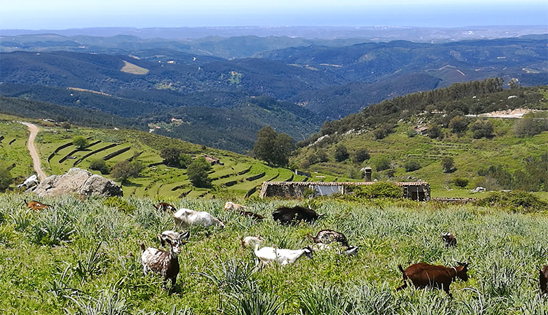 Wandelen in het Monchique-gebergte in de Algarve