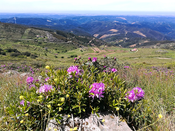 Het gehucht Barbelote in de Serra de Monchique