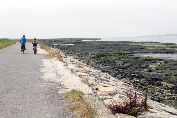 Cicloria fietsroute bij Aveiro