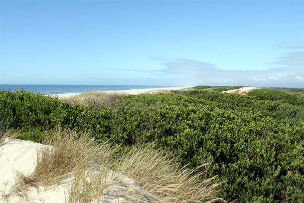 Reserva Natural das Dunas de São Jacinto