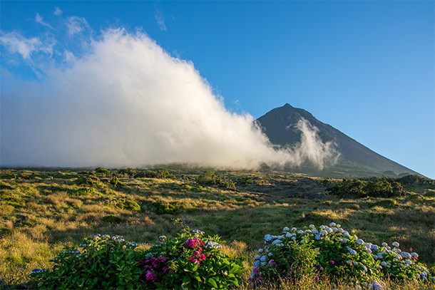 Natuur op Pico