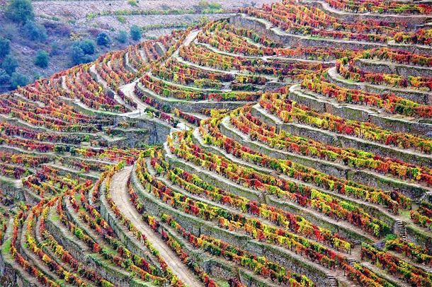 Herfst in de Douro-vallei