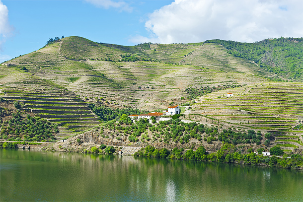 Eindeloos veel wijngaarden in de Douro-vallei