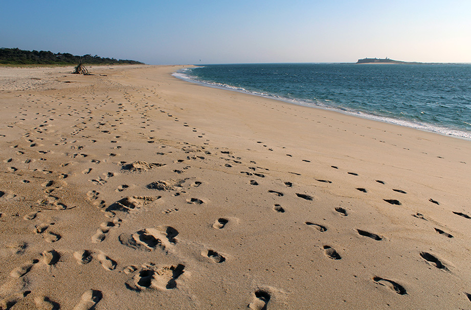 Praia de Caminha en Praia do Camarido