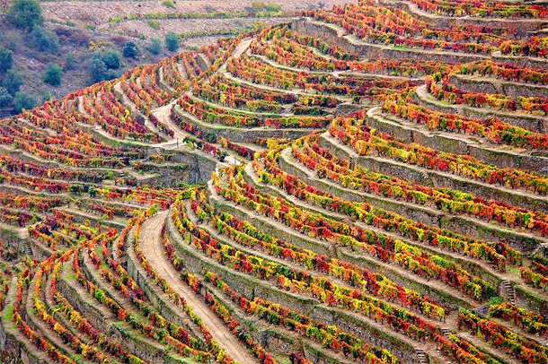 Herfst in de Douro valley