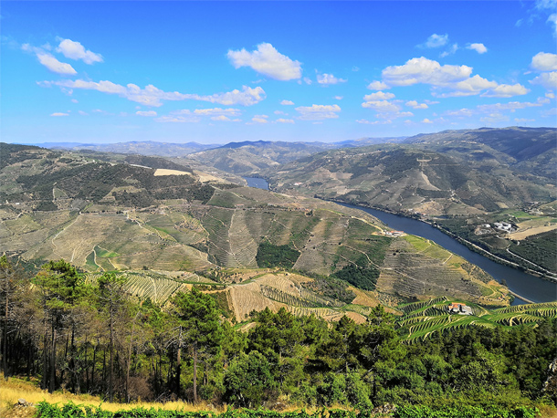 Miradouro de São Leonardo da Galafura