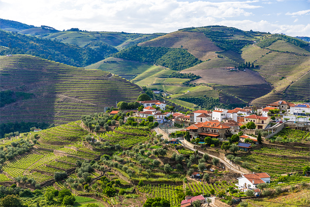 Douro vallei, een uniek landschap