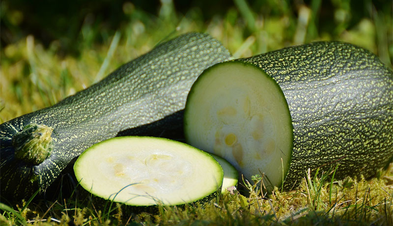 courgette