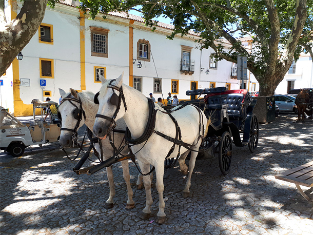 Paardenkoets in Évora