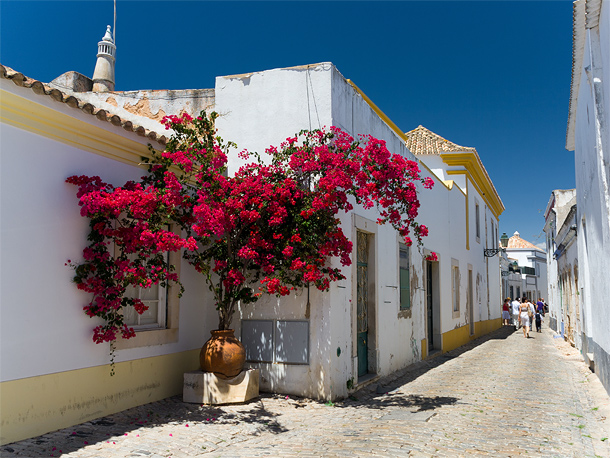 Sfeervol straatje in Faro