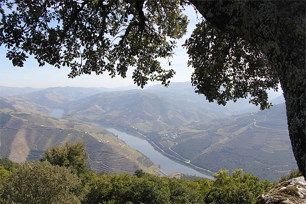 Douro vallei in Noord-Portugal