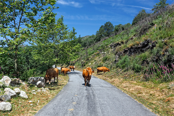 Fly drive Portugal door natuurgebied