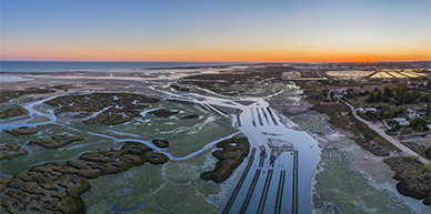 Ria Formosa, Algarve