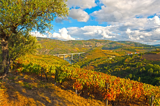 Herfst in Lissabon, geroosterde kastanjes