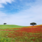 de Alentejo in Portugal