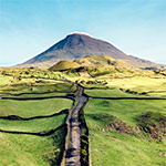 Pico