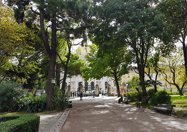 Jardim da Estrela
