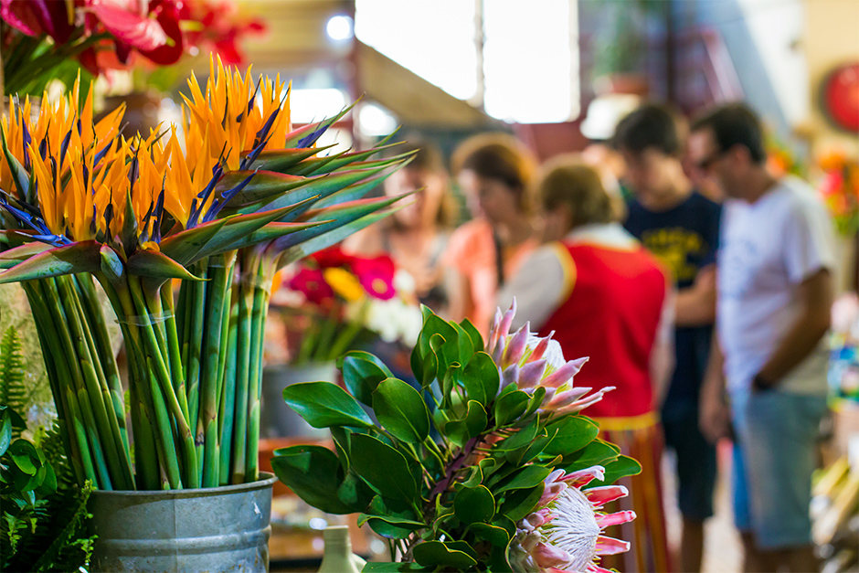 Strelitzia op de markt van Funchal