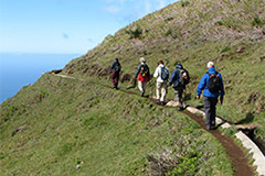 Groepswandelreis Madeira, Sawadee