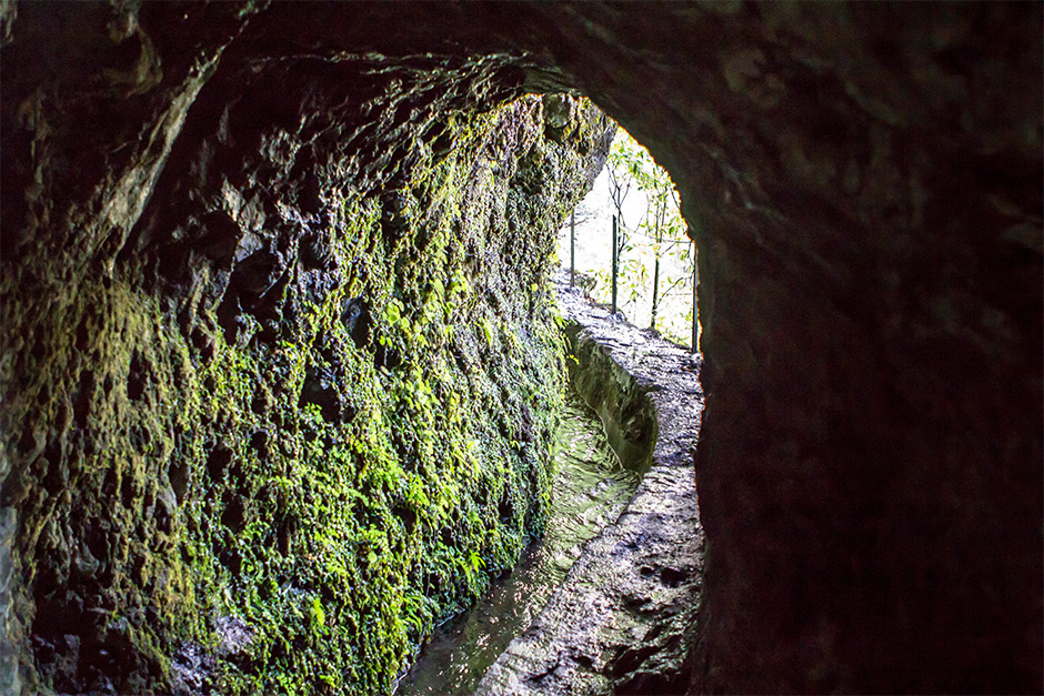 Tunnel in de route van Levada do Caldeirão Verde