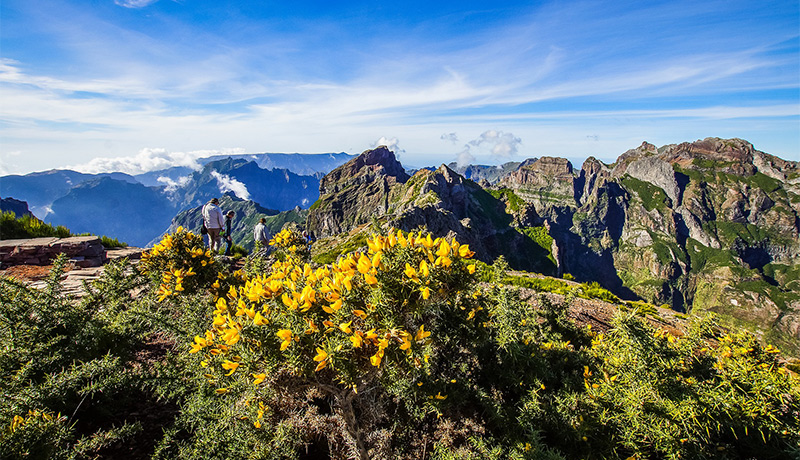 Madeira, het bloemeneiland van Portugal