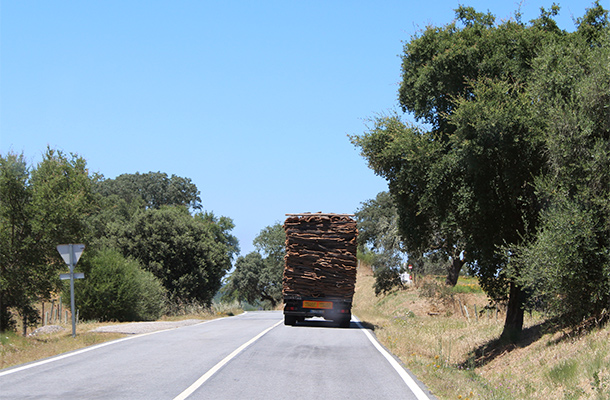 Vrachtwagen met kurk in de Alentejo