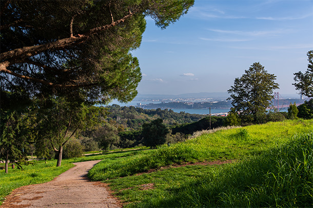 Parque Florestal de Monsanto in Lissabon