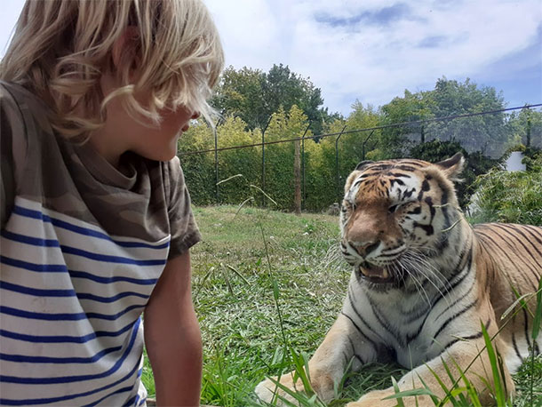 Zoo Santo Inácio, dierentuin in Porto